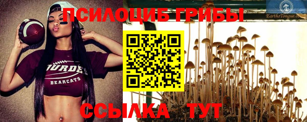 Псилоцибиновые грибы Cubensis Кушва